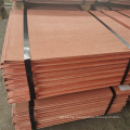 Top Grade Wholesale Copper Cathodes Plates 99.99% Lme Copper Cathodes Electrolyte Sheets